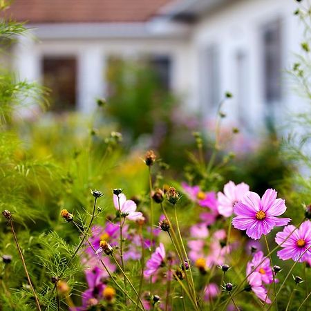 Engels Landhaus Suite Mörbisch am See Zewnętrze zdjęcie